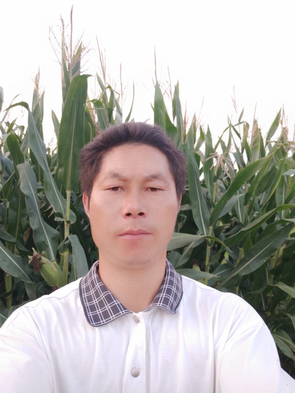 四海游龙的第一张照片--福州相亲服务中心