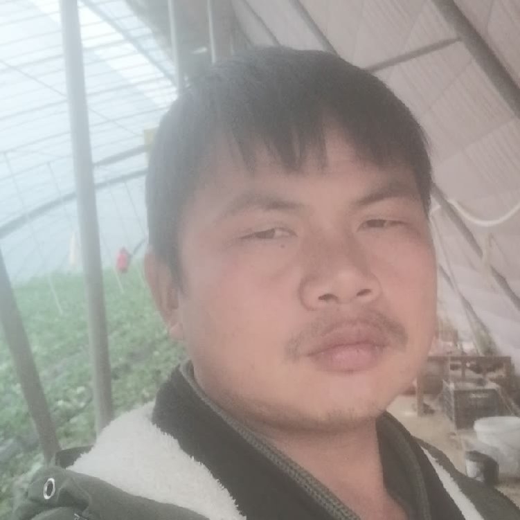 孤狼‘的第一张照片--福州相亲服务中心