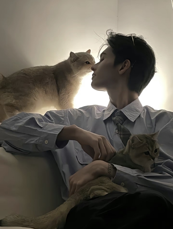 怪猫的第一张照片--福州相亲服务中心
